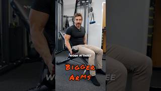 Build bigger arms with these bicep exercises biceps biggerarms bodybuilding bicepworkout [upl. by Stefano]