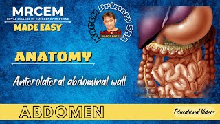 MRCEM Primary  Anatomy  Abdomen  Anterolateral abdominal wall [upl. by Noswad49]