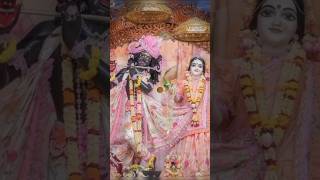 Adharam madhuram vadanam madhuram 😌💗shorts status radhakrishna adharammadhuram krishnastatus [upl. by Genny407]