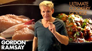 The Best amp Easiest CHICKEN Recipes Part 12  Gordon Ramsays Ultimate Cookery Course [upl. by Collyer]