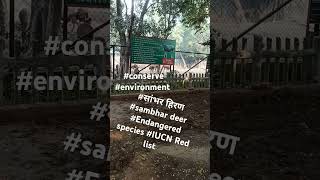 IUCN Red list सांभरहिरण endangered saveanimalkingdom savelife shorts viral rajkumar [upl. by Wj]