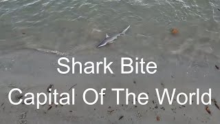 Shark Fishing New Smyrna Beach  Shark Bite Capital Of The World [upl. by Ydnar]