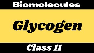 What is Glycogen [upl. by Arres25]