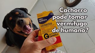 Antiparasitários vermífugos de humanos para cachorro [upl. by Dilisio]