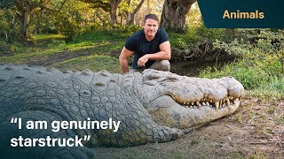 Meet Henry the worlds oldest crocodile  Killer Crocs with Steve Backshall [upl. by Jarrett]