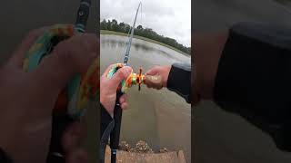 How To CATCH BIG BASS❗️Fishing A SWEAGE DRAIN🤢 [upl. by Symer249]