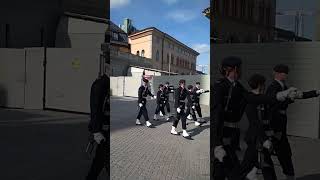 Changing of Guard Royal Palace Stockholm [upl. by Torie]