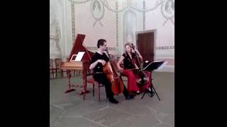 Antonio Caldara  Cello Sonata No 4 in d minor Alexander Botoš Petra Čadová  baroque cello [upl. by Chin77]