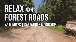 45 Minutes of Relaxing OffRoad Driving in the Carpathian Forests [upl. by Glyn]