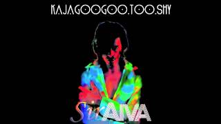 Kajagoogoo  Too Shy  SirAiva Remix [upl. by Alletniuq56]