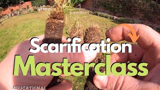 Scarification BASICS  Learn Why And How To Scarify Your Lawn [upl. by Aleirbag]