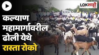 Dhangar Protest  धनगर समाजाला आरक्षण मिळण्यासाठी नगर  कल्याण महामार्गावर रास्ता रोको आंदोलन [upl. by Mcmullan]