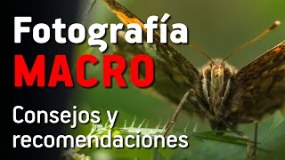 FOTOGRAFÍA MACRO  Consejos y Recomendaciones [upl. by Noreen428]