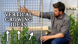 EASY Trellis amp Vertical Ideas for Growing Food [upl. by Eibreh]