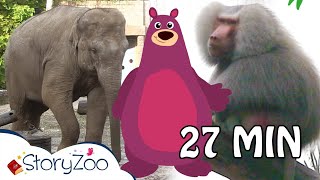 StoryZoo op avontuur in de Dierentuin 🦁  Compilatie 🙉  Educatieve videos voor kinderen [upl. by Aihtnic927]