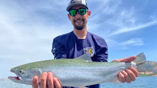 KING SALMON and EAGLE LAKE TROUT trolling LAKE BERRYESSA [upl. by Lessur]