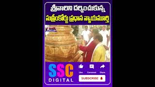 Supreme Court Judge Justice DY Chandrachud Visited Tirumala Temple  Shorts Sscdigital [upl. by Wilcox]