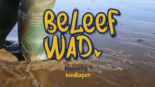 BeleefWad AFL 4  Wadlopen in het waddengebied [upl. by Dygal]