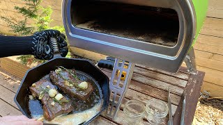 Steak Experiments  Searing A Steak in a Roccbox Oven [upl. by Eek]