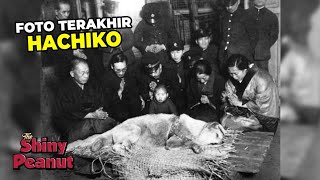 Fakta Mengejutkan Anjing Hachiko yang Jarang Orang Tau [upl. by Lexis]