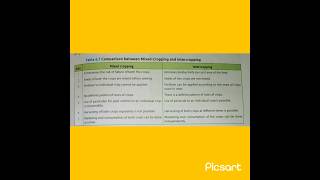 Difference between mixed crops and intercroping mixedcrops intercropping [upl. by Eekorehc556]