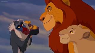 The Lion King 19942019  Circle of Life Mashup [upl. by Lorolla109]