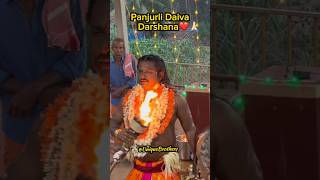 Panjurli Daiva Darshana❤️🙏🏻 mangalore tulunadu panjurli shorts viral [upl. by Marjana]