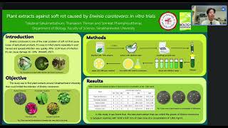 Plant extracts against soft rot caused by Erwinia carotovora In vitro trials [upl. by Mellisa646]