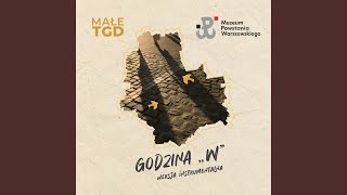 Godzina W Wersja Instrumentalna [upl. by Eissoj]