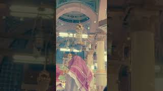 Humne aankho se dekha nahi hai magar Naat l New naat video 2024 l wazifa dua shorts [upl. by Helsie825]