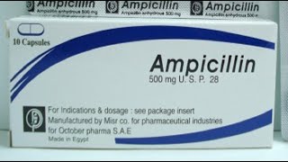 أمبيسيلين كبسولات مضاد حيوي واسع المجال Ampicillin Capsules [upl. by Hurty952]