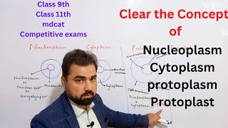 Difference between nucleoplasm  cytoplasm  protoplasm  protoplast  class 11 in urdu  hindi [upl. by Llenej835]