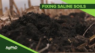 Fixing Saline Soils 1084 Air Date 11319 [upl. by Caputo]