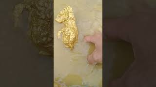 huge gold treasure digging goldhunter miner [upl. by Falcone]