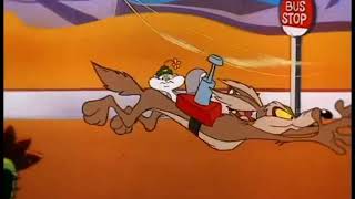 Wile E Coyote and Road Runner on Animaniacs [upl. by Jacky]