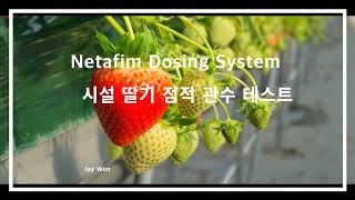 시설 딸기 점적 관수 테스트Irrigation test with NetaJet3G amp Streamline [upl. by Arlana]