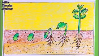 How TO Draw Seed GerminationDraw Sprouted Seeds Easy [upl. by Bald]