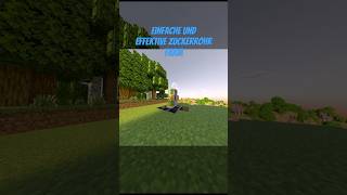 Einfache und effektive Zuckerrohrfarm in Minecraft bauen minecraft zuckerrohrfarm einfach [upl. by Gerianne]