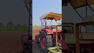 Aaj to khet me dhaniya ke kheti keminivlogvillagelifevlog patelagriculture patelfarming [upl. by Penman]