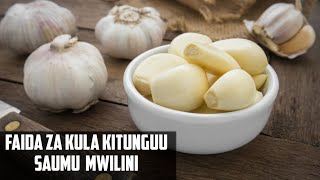 FAIDA ZA KULA KITUNGUU SAUMU MWILINI  FAIDA ZA KITUNGUU SAUMU KIAFYA [upl. by Daffy582]