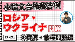 小論文の合格解答例 ロシアのウクライナ侵攻③資源・食糧問題編 [upl. by Nod]