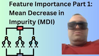 Feature Importance Methods Part 1 Mean Decrease in Impurity MDI [upl. by Neo]