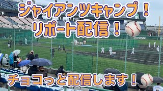 ジャイアンツキャンプリポート！⚾️チョコっと配信します。⚾️ [upl. by Cianca916]