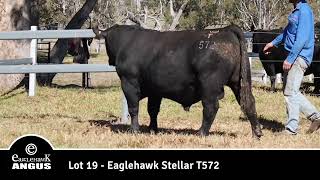 Lot 19 Eaglehawk Stellar T572 [upl. by Ardekan]