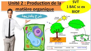 Unité 2  La Production de la matière organique svt 1Bac sc ex option français شرح بالداريجة [upl. by Rapp]