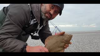 Flattie Bashing at Hoylake Beach  Wirral [upl. by Lerred370]