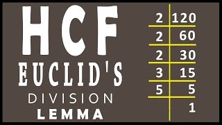 Finding HCF using Euclids Division Lemma in real numbers  Math  Letstute [upl. by Marv]