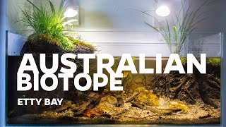 Australian biotope  Etty bay aquarium [upl. by Tisbee]