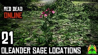 Red Dead Redemption 2 ONLINE  OLEANDER SAGE LOCATIONS [upl. by Lanna]