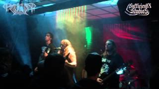 PAGANIZER  Scandinavian Warmachine  Live 2014 [upl. by Naud]